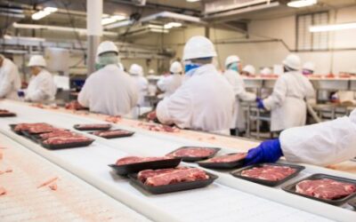 Ergonomisk rådgivning hos Tulip Food Company