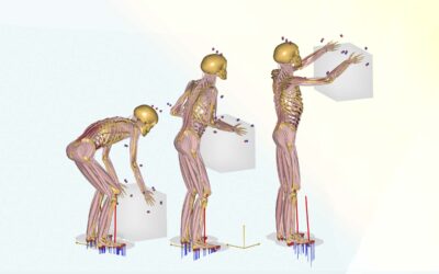 Latest Research and Data ensure improved Workplace Ergonomics