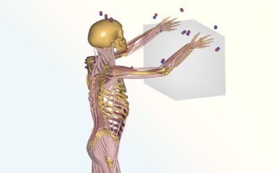 Ny forskning og nye data sikrer bedre ergonomi på arbejdspladsen
