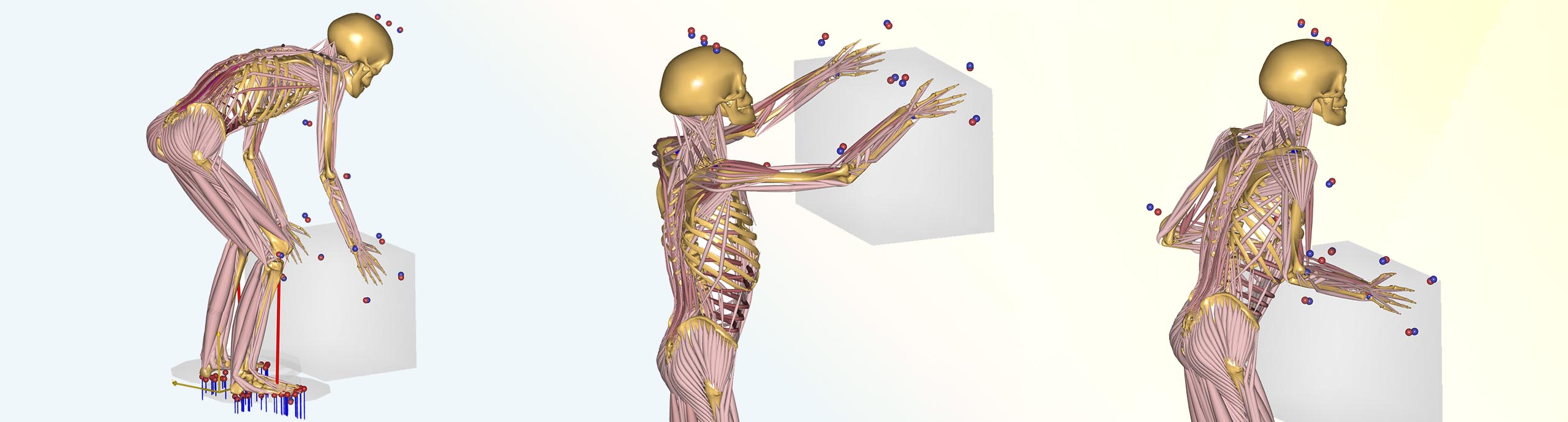 Kroppens funktion under løfteteknik.