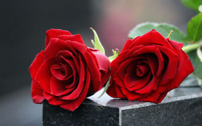 Arbejdsmiljøpuljen hjælper Begravelses Service til et højt serviceniveau og et arbejdsmiljø i topklasse