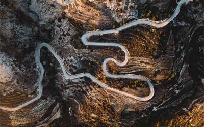 Trin II: Når du for alvor vil noget med MBTI’en