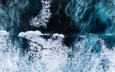 Fortæl om bæredygtighed uden risiko